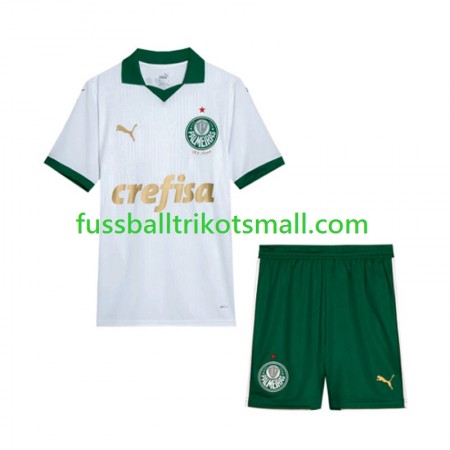 Fußballtrikots Palmeiras Kinder 2024 Kurzarm Auswärts-trikot kaufen